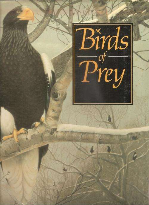 Birds of Prey   By: Philip Byrton Illustrated by Trevor Boyer