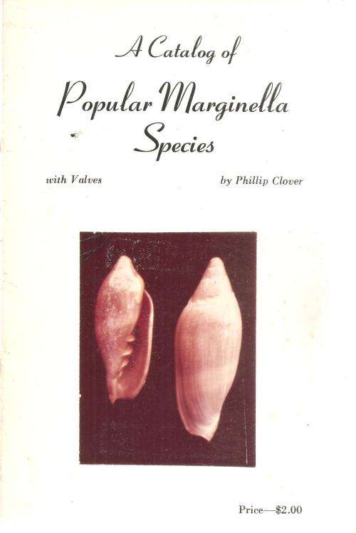 A Catalog of Popular Marginella Species By: Phillip Clover