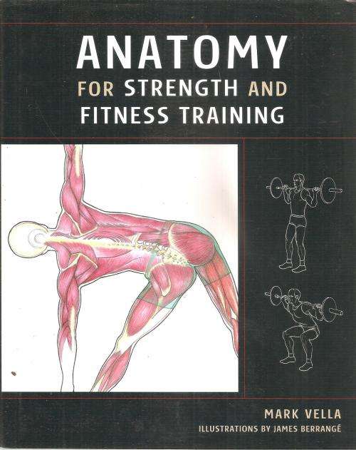Anatomy for Strength and Fitness Training  By: Marl Vela