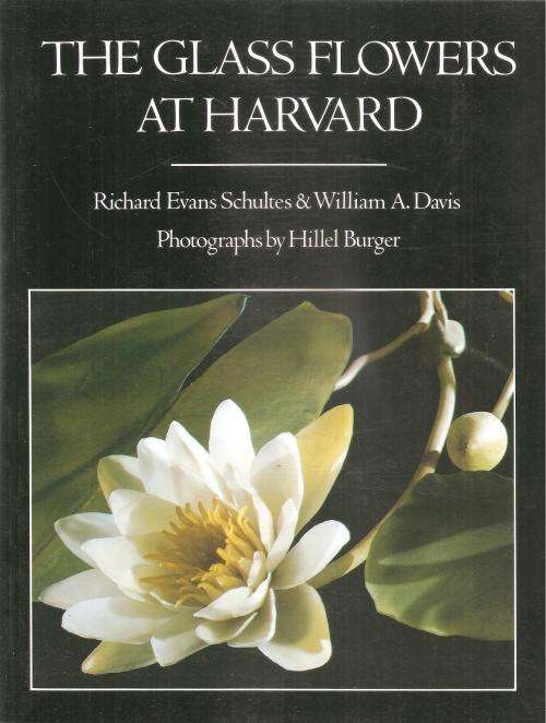 The Glass Flowers at Harvard By: Richard Evans Schules and William A. Davis