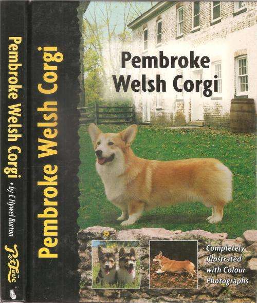 Pembroke Welsh Corgi by: E. Hywel Burton