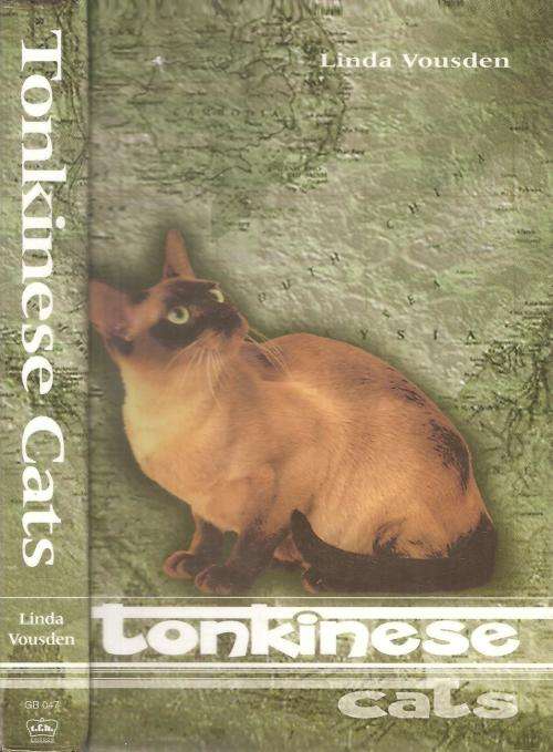 Tonkinese Cats  By: Linda Vousden