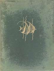The Sea Fishes Of Southern Africa By J.L.B. Smith