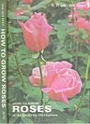 How To Grow Roses In The Southern Hemisphere By Kenneth R. Van Der Spuy