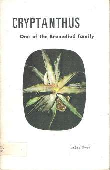 Cryptanthus: One Of The Bromeliad Family - By Kathy Dorr