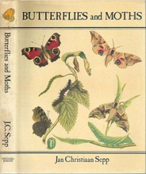 Butterflies & Moths - By Jan Christiaan Sepp