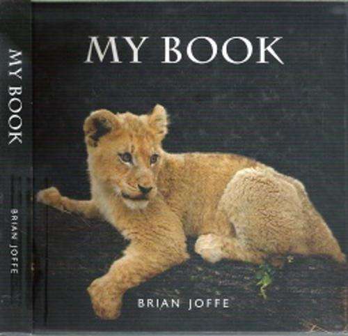 My Book - By Brian Joffe