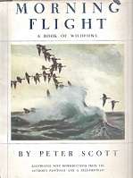 Morning Flight by Peter Scott