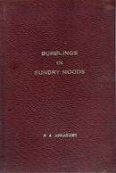 Burblings In Sunday Moods by N. E. Abrahams