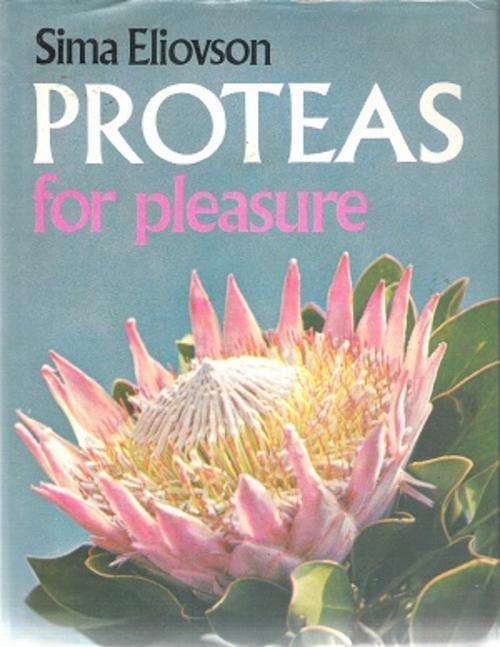Proteas for Pleasure By: Sima Eliovson