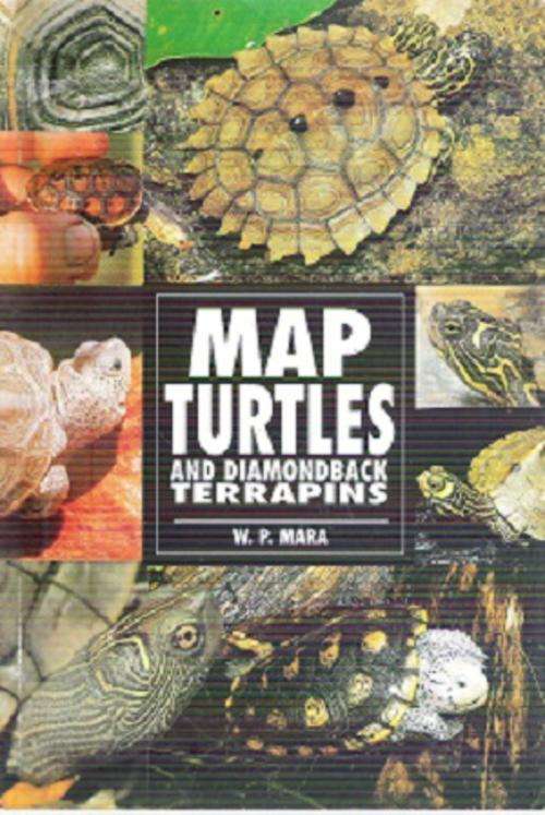 Map Turtles and Diamond Back Terrapins  By: W. P. Mara