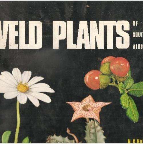 Veld Plants of Southern Africa By. N. K. Hobson, J. P. Jessop, M. C. vd R. Ginn, & Jane Kelly