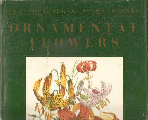 Ornamental Flowers - Classic Nature History Prints By: Jane Loudon