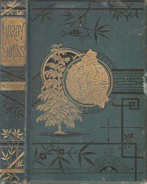 Hardy Shrubs By: W. D. Prior 1881