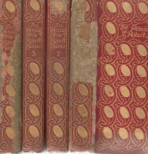 The Poetical Works of Robert Burns   Edited by: Charles Annandale M.A. LL.D.