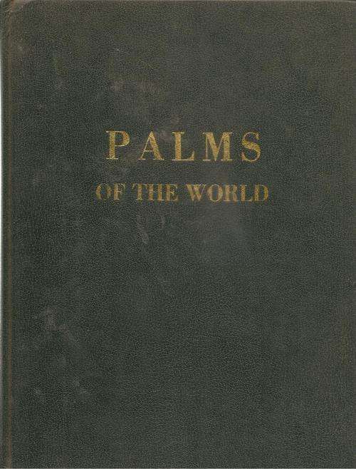 Palms of the World  By: James C. Currach