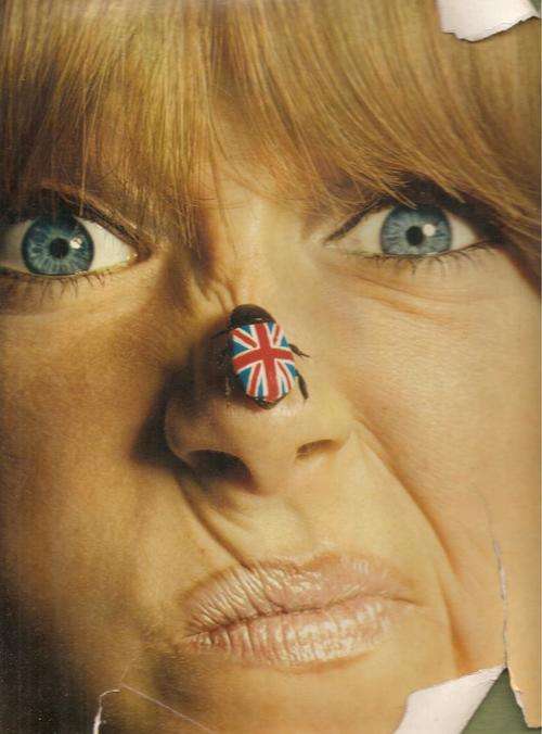 Birds of Britain Photography By: John D. Green & Art Direction By: David Tree