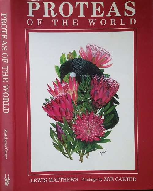 Proteas of the World by Lewis Matthews paintings by Zoe Carter