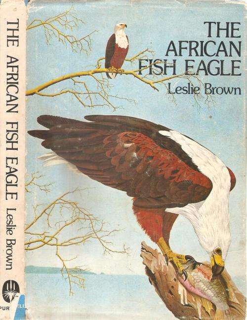 The African Fish Eagle  By: Leslie Brown