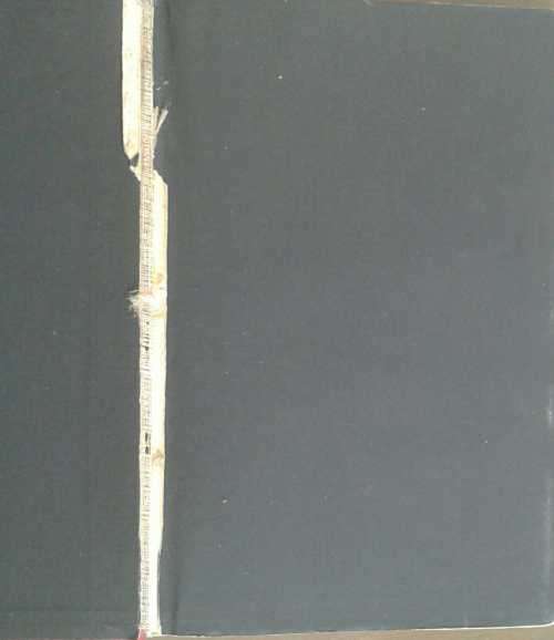 The Gold Mines of the Rand by Frederick Hatch & J Chalmers published 1895