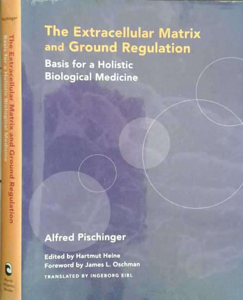 The Extracellular Matrix and Ground Regulation Basis for a Holistic Biological Medicine, Pischinger