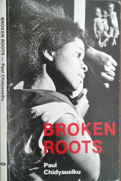 Broken Roots by Paul Chidyausiku
