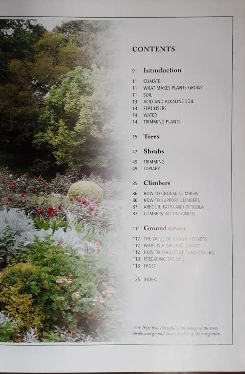 My Favourite Plants by Una Van Der Spuy