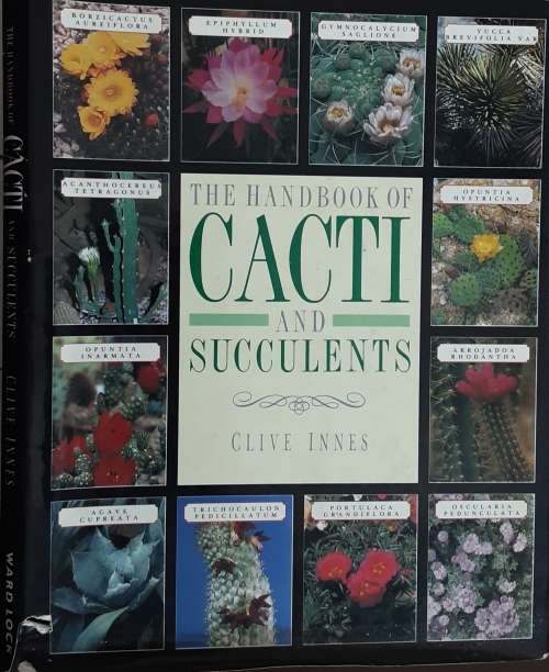 The Handbook of Cacti and Succulents by Clive Innes