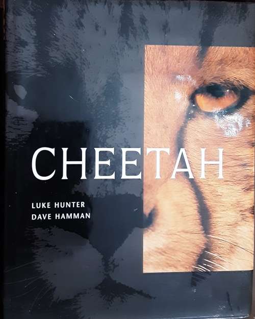 Cheetah by Luke Hunter and Dave Hamman