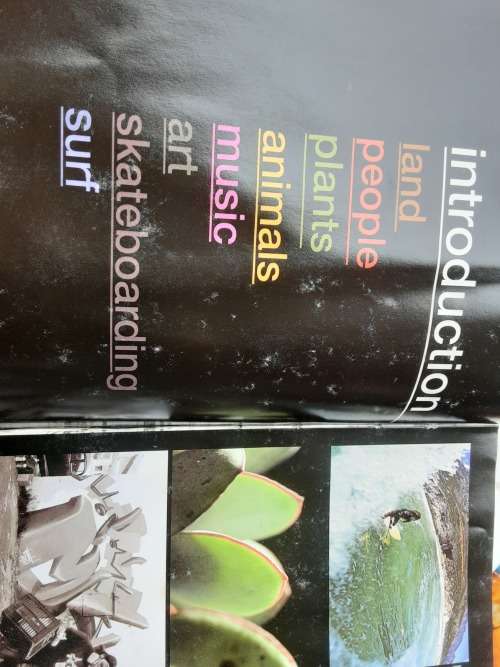 Expressions Book One South Africa by Jared M Aufrichtig **Deluxe Edition** nbr 34/100 **SIGNED**