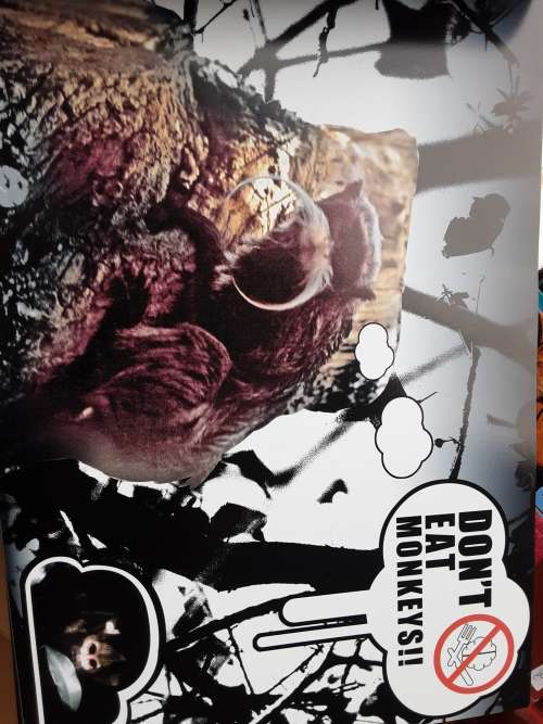 Expressions Book One South Africa by Jared M Aufrichtig **Deluxe Edition** nbr 34/100 **SIGNED**