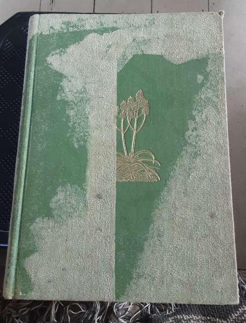The Aloes of Tropical Africa and Madagascar by Gilbert Westacott Reynolds