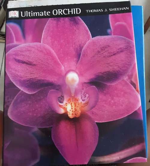 Ultimate Orchid by Thomas Sheehan