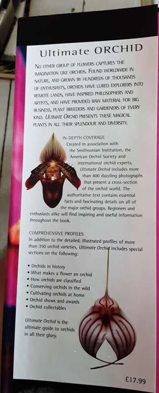 Ultimate Orchid by Thomas Sheehan