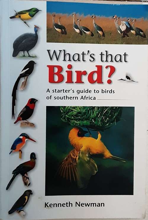 What`s That Bird? A Starter`s Guide to Birds of Southern Africa by K Newman