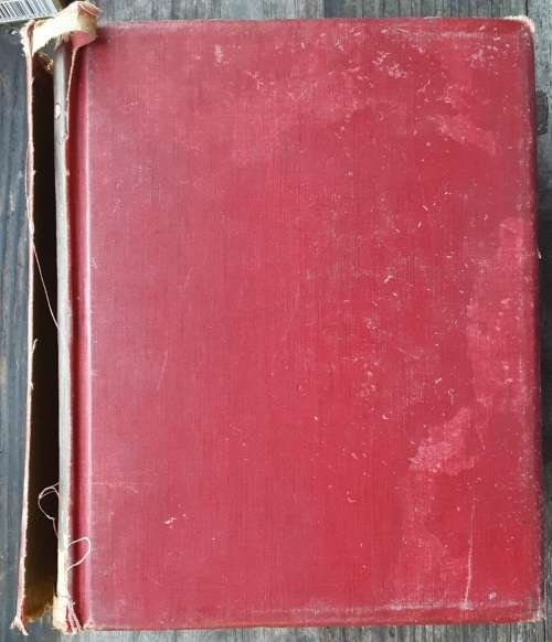 Toy Dogs and Their Ancestors by The Hon Mrs Neville Lytton ***SCARCE TITLE**
