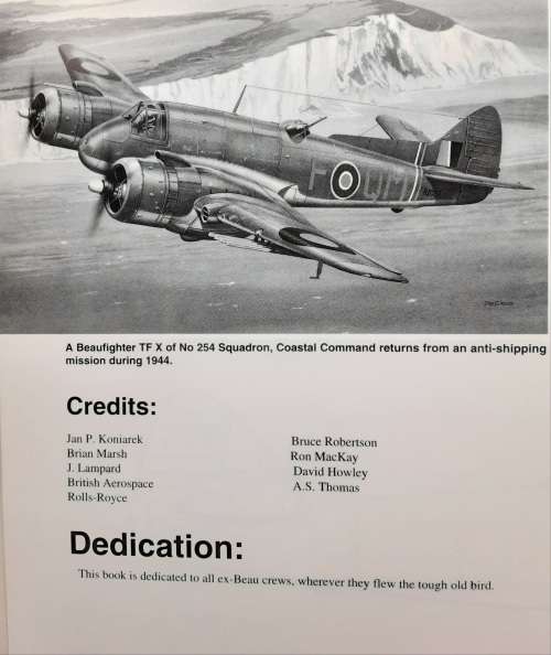 Beaufighter in Action by Jerry Scutts