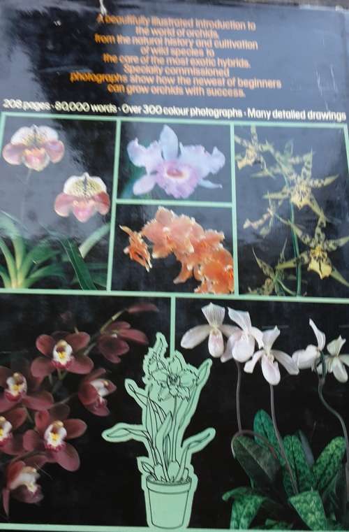 Orchids For Everyone A Practical Guide of over 200 varieties