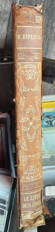 Le Livre de la Jungle Vol 1 and 2 by Rudyard Kipling **printed 1937 Librairie Delagrave Paris**