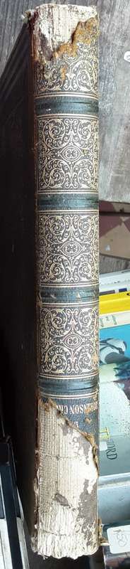 Aventure of Robinson Crusoe traduites De Daniel De Foe **printed 1875 Text in French**