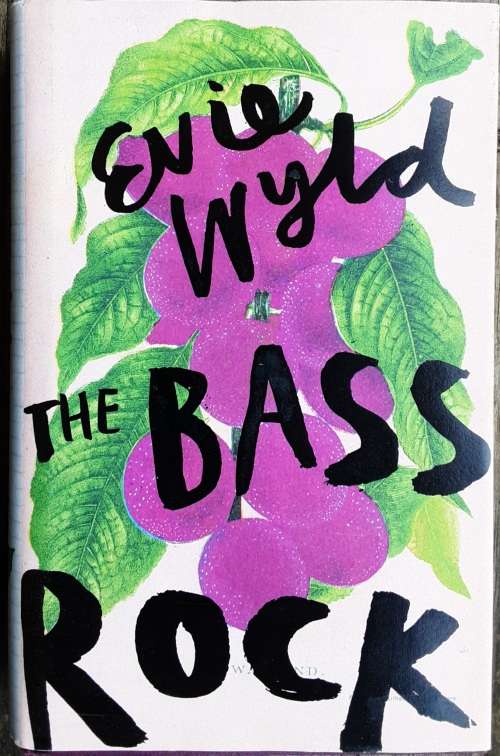 The Bass Rock by Evie Wyld **First Edition**