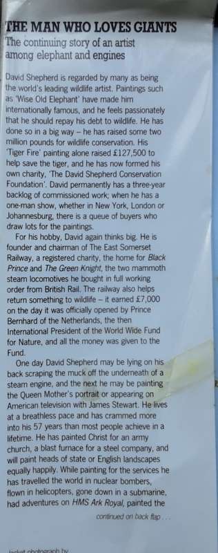 The Man Who Loves Giants by David Shepherd