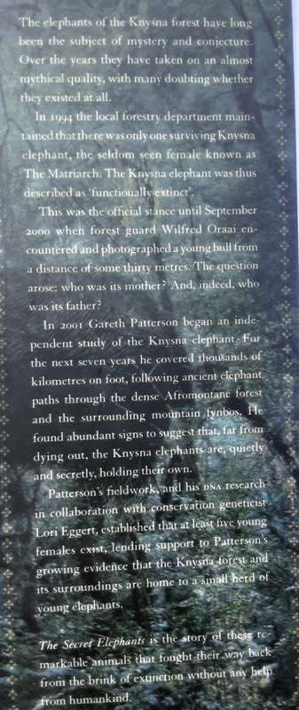 The Secret Elephants by Gareth Patterson