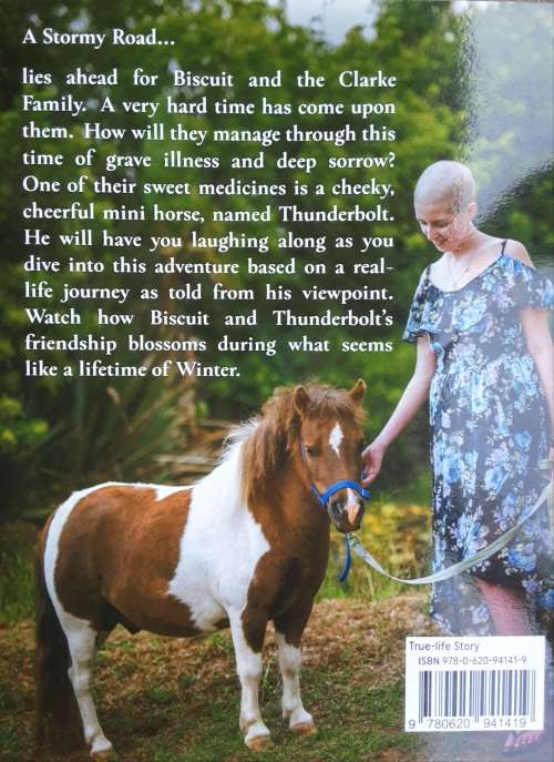 My Thunder in the Storm by Rebecca Clarke