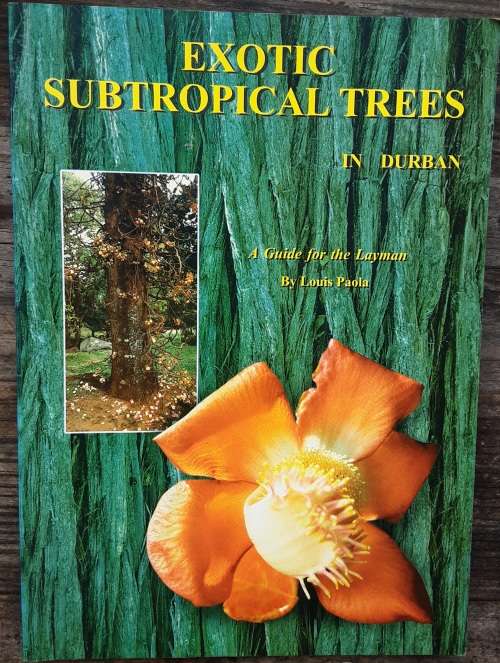 Exotic Subtropical Trees in Durban by Louis Paola