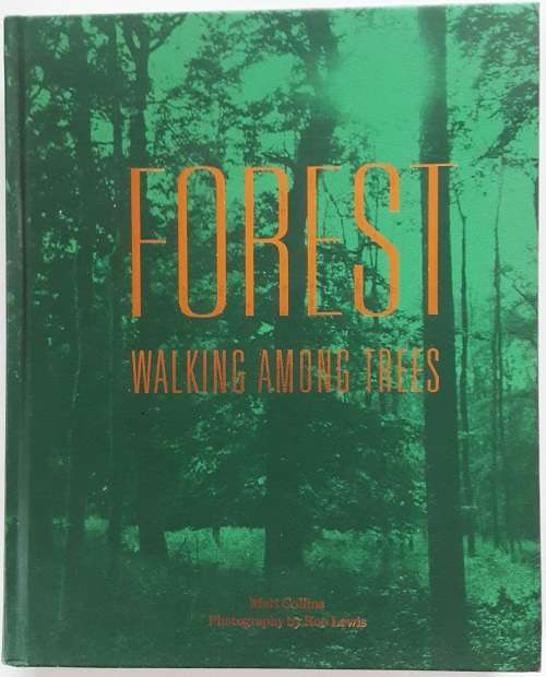 Forest, Walking Among Trees by Matt Collins