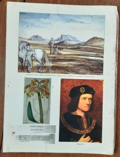 The Naming of Garden Castle by Rob Guy