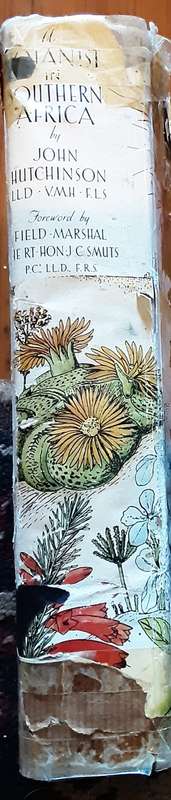 A Botanist in Southern Africa by John Hutchinson