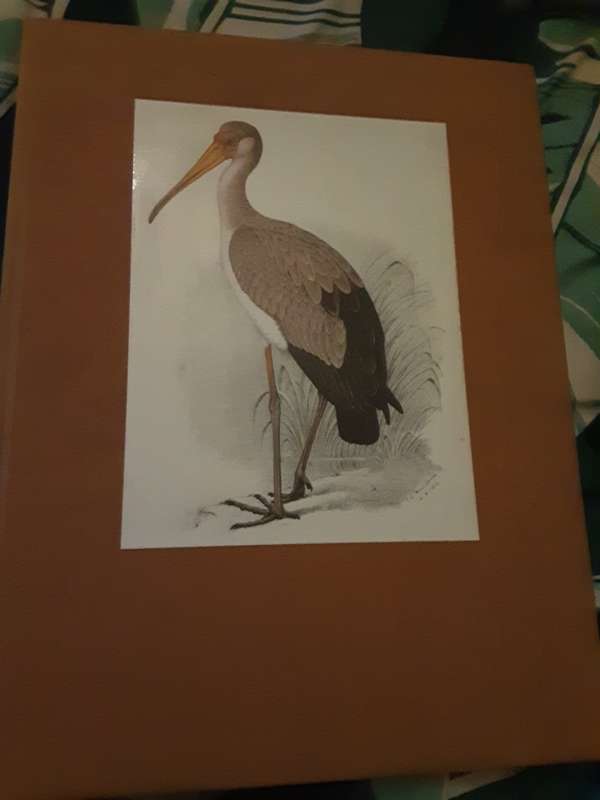 The Bird Paintings of C G Finch-Davies, Limited Edition nbr 1640/5000 Subscriber Edition
