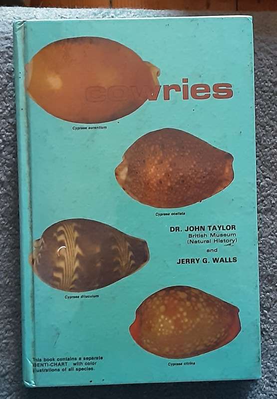Cowries by Dr John Taylor & Jerry G Walls